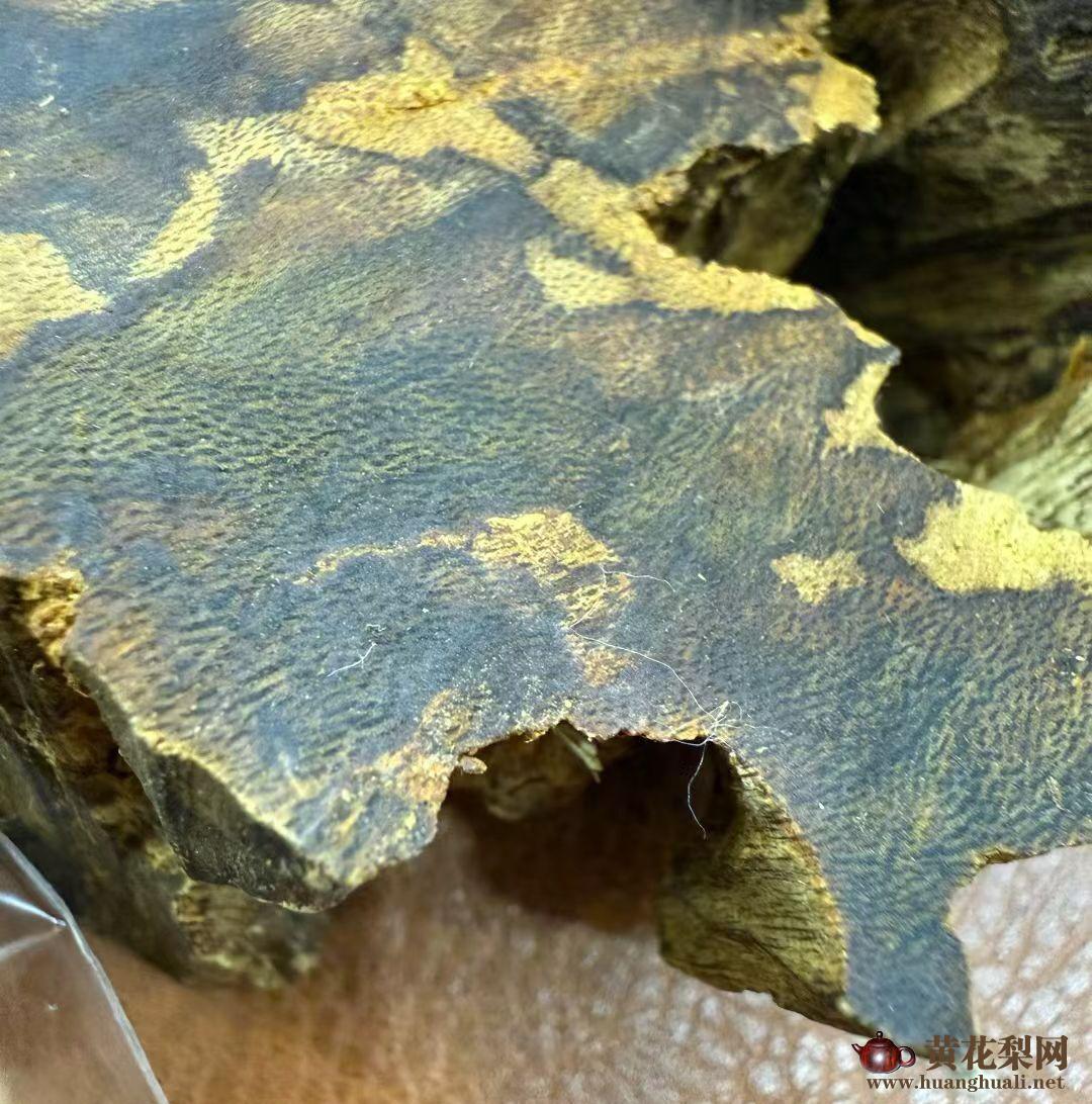 电白沉香：乱象治理与产业升级双轨并行
